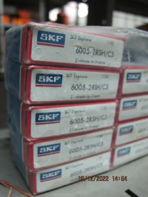SKF Photo 60